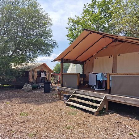 Lodge Les P'Tites Maisons Dans La Prairie Sallertaine المظهر الخارجي الصورة