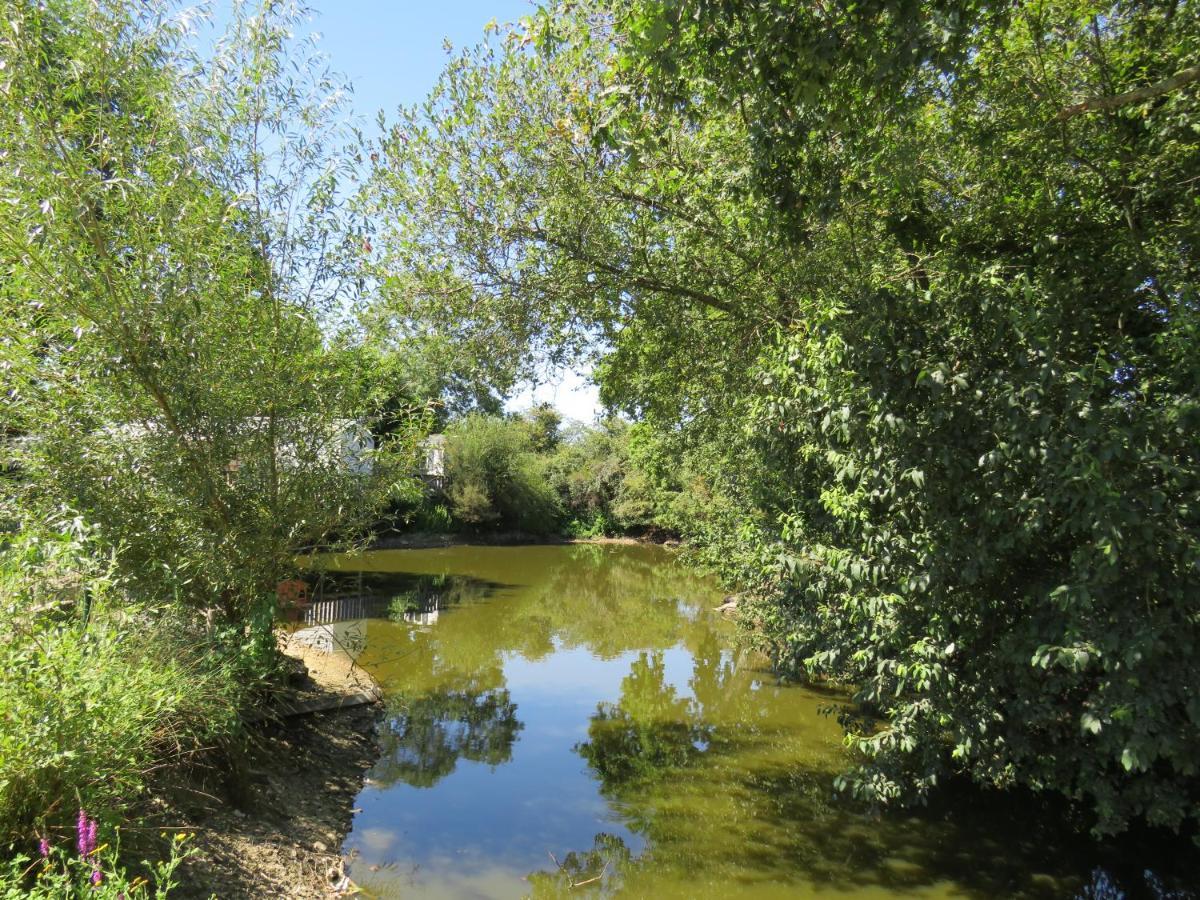 Lodge Les P'Tites Maisons Dans La Prairie Sallertaine المظهر الخارجي الصورة